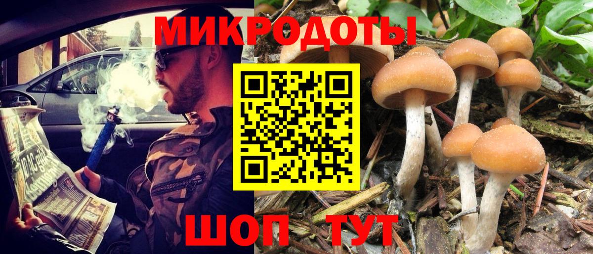 Галлюциногенные грибы MAGIC MUSHROOMS  Псилоцибиновые грибы GOLDEN TEACHER  Вход с VPN  Реутов 