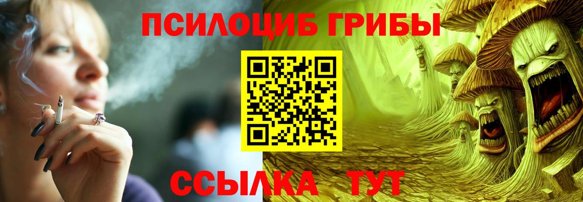 Псилоцибиновые грибы Psilocybine cubensis Реутов